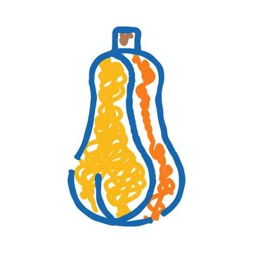 Butternut squash vegetable drawing line icon concept Stock Illustration