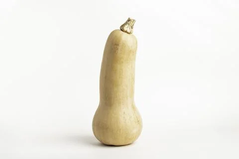 Butternut Squash On White Background Stock Photos