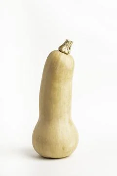 Butternut Squash On White Background Stock Photos