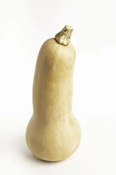 Butternut Squash On White Background Stock Photos