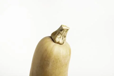 Butternut Squash On White Background Stock Photos