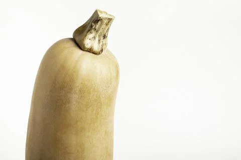 Butternut Squash On White Background Stock Photos
