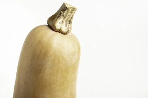 Butternut Squash On White Background Foto stock