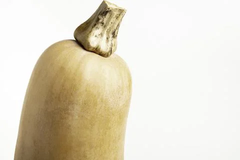 Butternut Squash On White Background Foto stock