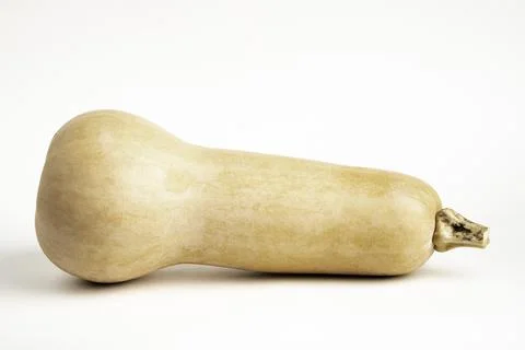 Butternut Squash On White Background Stock Photos