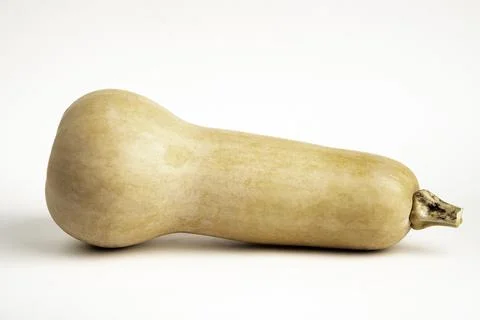Butternut Squash On White Background Stock Photos