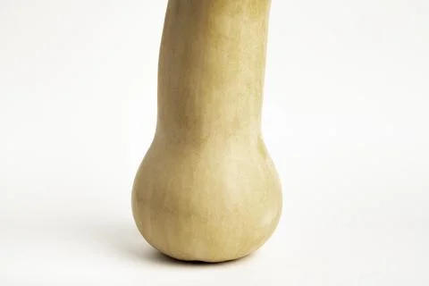 Butternut Squash On White Background Foto stock
