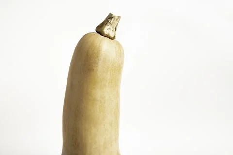 Butternut Squash On White Background Stock Photos