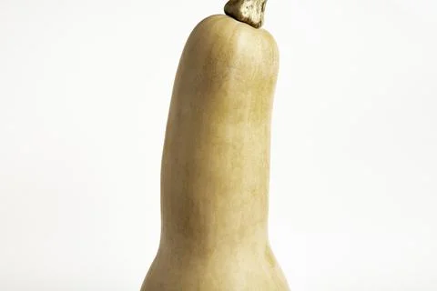 Butternut Squash On White Background Stock Photos