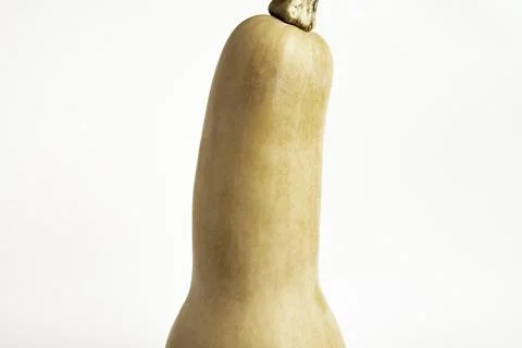 Butternut Squash On White Background Stock Photos