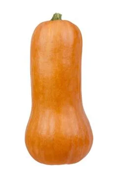 Butternut Squash On White Stock-Fotos