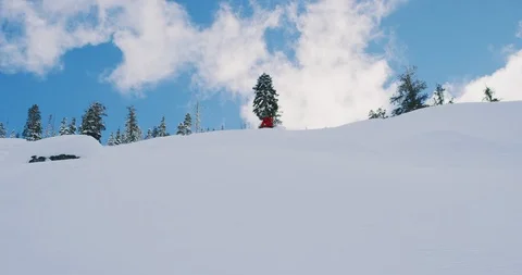That buttery smooth ski style Stock Footage 103895522