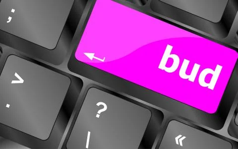 Button with bud word on computer keyboard keys Illustrazione stock