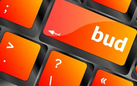 Button with bud word on computer keyboard keys Stock Illustration