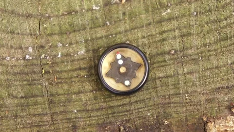 Button Compass, Survival Kit Button Compass Video stock 306513952