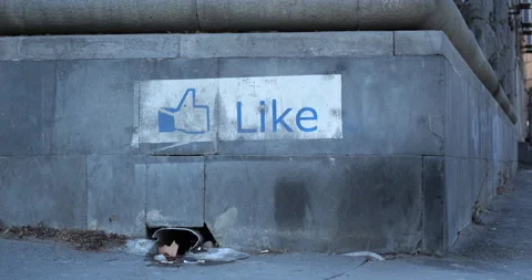 Like button drawn with blue paint the word like and a thumbs up sign on the Stock Footage 230988861