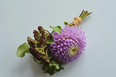 Button holes Stock Photos