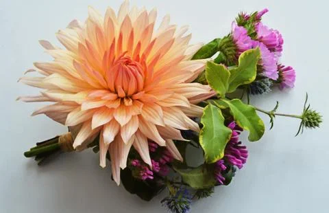 Button holes Stock Photos