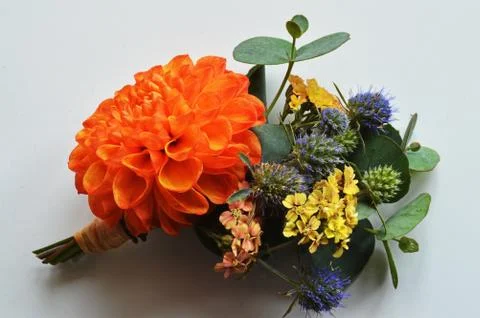 Button holes Stock Photos