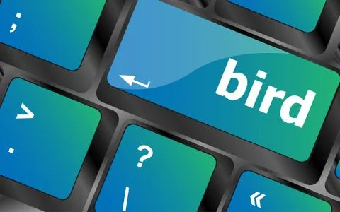 Button keyboard key, keypad with bird word Stock Illustration