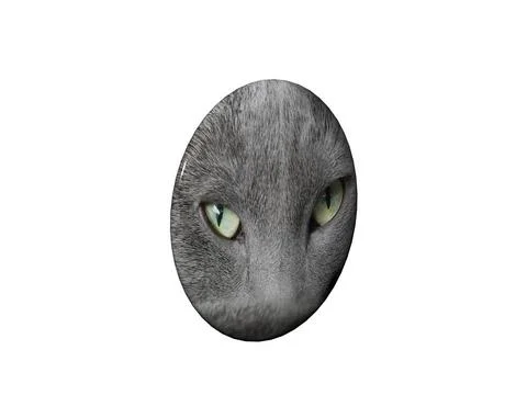 Button mit Katzengesicht Button mit Katzengesicht Copyright: xZoonar.com/D... Foto stock