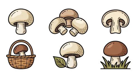 Button Mushroom Illustration Set with Basket and Natural Elements Stock Illustration