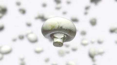 Button Mushroom Looping Rotation Against Out of Focus White Background 库存影片 72299604