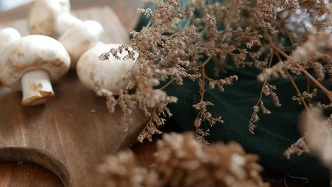 Button mushroom or white mushroom or champignon mushroom. Stock Footage 88876280