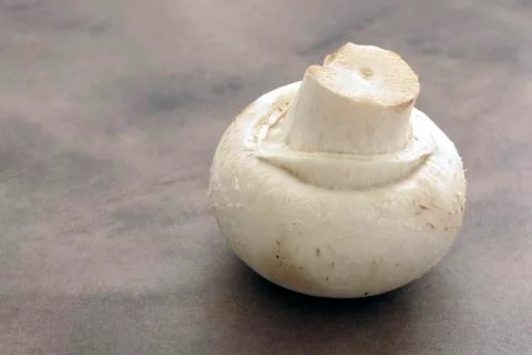 Button mushroom Stock Photos