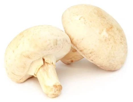 Button Mushroom Stock Photos