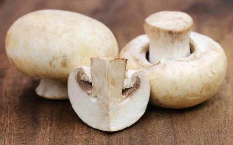 Button Mushroom Stock Photos