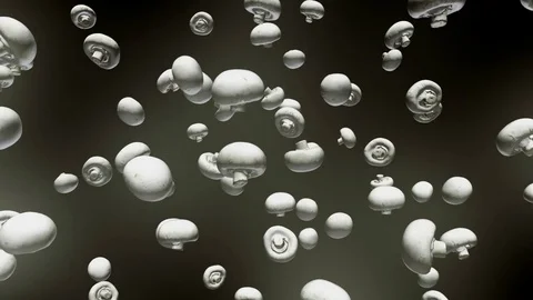 Button Mushrooms Floating on a Black Background 库存影片 72299603
