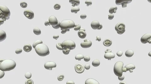 Button Mushrooms Floating on a White Background 库存影片 72299605