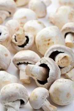 Button mushrooms Stock Photos