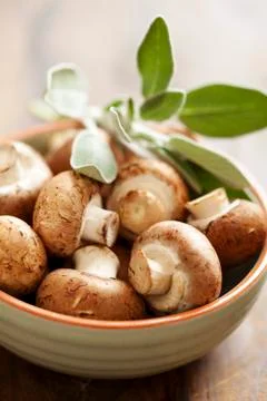 Button mushrooms Stock Photos