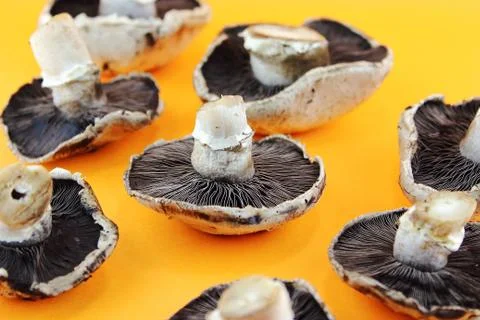 Button mushrooms Stock Photos