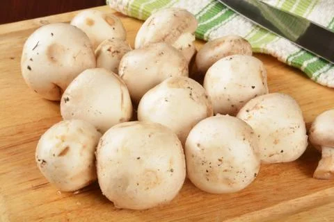 Button mushrooms Stock Photos