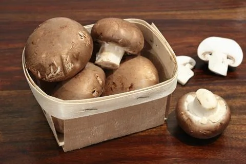 Button mushrooms Stock Photos
