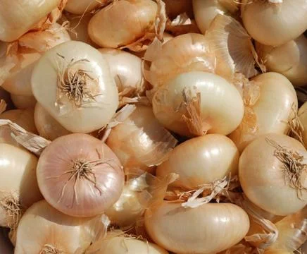 Button Onions Stock Photos