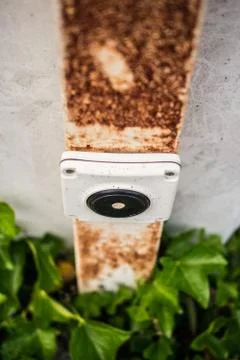 Button with rust and ivy plant Stock Photos