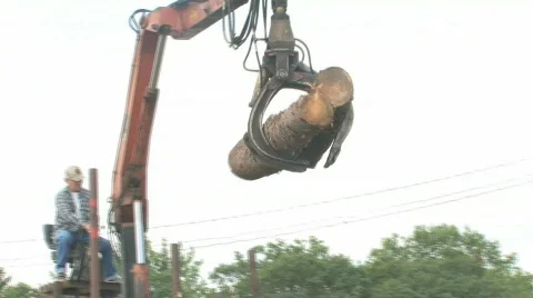 Button-top log loader 002 Stock Footage 632793