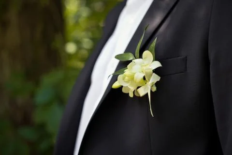 Buttonhole on a jacket. Stock Photos