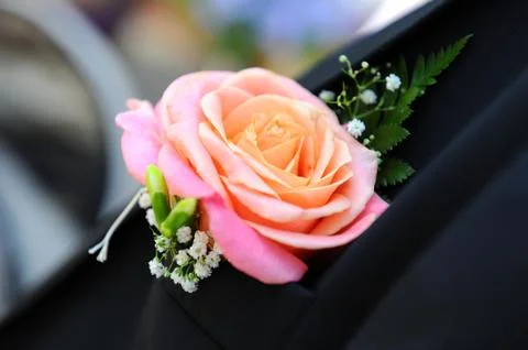 Buttonhole Stock Photos
