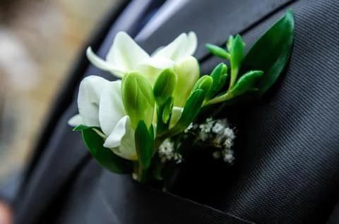 Buttonhole Stock Photos