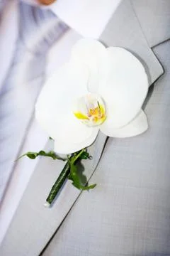 Buttonhole Stock Photos