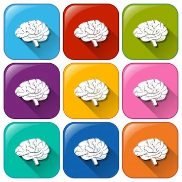 Buttons with brain organ Ilustración de archivo