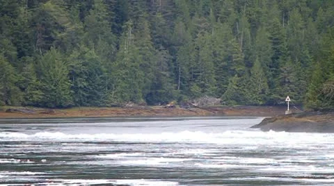 Butze rapids Stock Footage 10744528