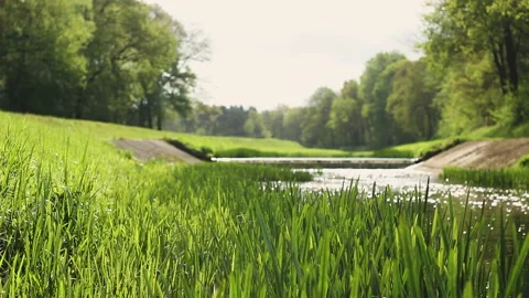 Buurse Beek Stock Footage 225476924