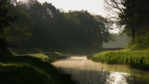 Buurse Beek Stock Footage 225477030