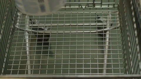 Buyer puts a tin of paint, roller and brush into shopping cart Vídeo Stock 95114898